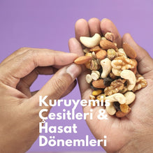 Kuruyemiş Çeşitleri & Hasat Dönemleri