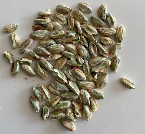 Kuş Boku Fıstık nedir ? Ne için kullanılır ?