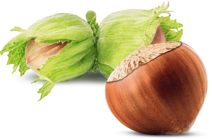 //mahireeyvallah.myshopify.com/cdn/shop/files/findik-cig-kabuklu-121_684x752.png?v=1698132014