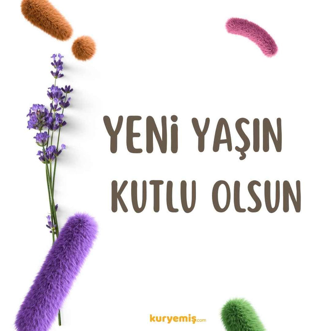 //mahireeyvallah.myshopify.com/cdn/shop/files/kuruyemis-hediye-karti-351_684x752.jpg?v=1698133161