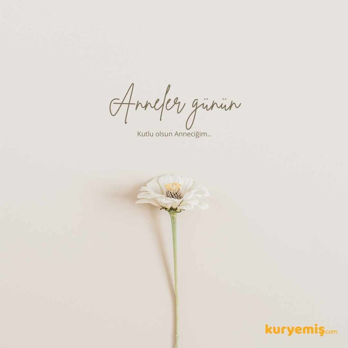 //mahireeyvallah.myshopify.com/cdn/shop/files/kuruyemis-hediye-karti-355_684x752.jpg?v=1698133171